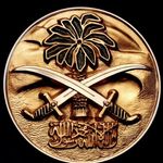 @ali_jadallah_ - Instagram