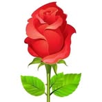 Ali Jan - Facebook