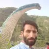 alijanes0 - @alijanes0 - TikTok