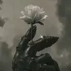 🦅 - @alijanesss.03 - TikTok