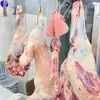 علي الجانودي - @alialjanoudi - TikTok