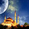 alijanoudi - @alijanoudi - TikTok