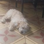 Ali Jimenez - @4li22_05 - Instagram