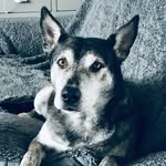 Ali Johnston - @ali.johnston.376 - Instagram
