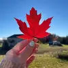 Ali Johnston - @alihanson19 - TikTok