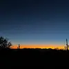 Ali - @ali.kaddoura - TikTok