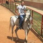 Ali Kaddoura - @kaddoura_ali - Instagram