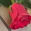ali kaddoura - @ali.kaddoura7 - TikTok