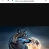 Ali khalili - @ali.khalili733 - TikTok