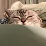 Ali  Lam - @alilam129 - Instagram