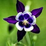 ali.masri - @ali.masri - Instagram