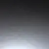 Ali Mcgregor - @good.fella.3 - TikTok