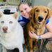 Ali McMahon - Facebook