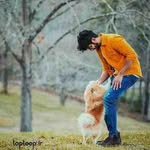 ali mohtashami - @ali.mohtashami_7648 - Instagram