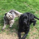 Ali Moody - @ladygun23 - Instagram