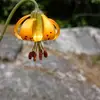 Ali Moody - @ali.moody96 - TikTok