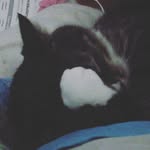ali morrow - @ali.spamzzzzzzzzzzzzz - Instagram