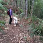 Ali Morrow - @aliandthewolf - Instagram