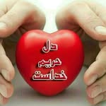 ali - @ali._moshtagh - Instagram