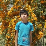 ali_moshtagh - @ali.moshtagh - Instagram