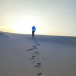 Ali Motamed - @ali.motamed.n - Instagram