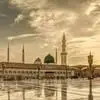 Ali Motamed - @ali.motamed11 - TikTok