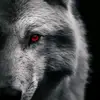 alimussa - @alimussa340 - TikTok