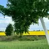 Ali Nadim - @ali.nadim87 - TikTok