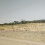 zahRa - @alinashad.1400 - Instagram