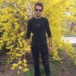 Ali Navid - @alinavid90 - Instagram