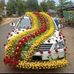 Ali Nazir - Facebook