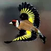 Ali Oz Demir - @aliozdemir17 - TikTok