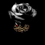 Abolfazl.alipanah - @alipanah.65 - Instagram