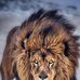 Ali Panah - Facebook
