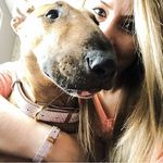 Ali Payne - @rosiebull_marlee_and_me - Instagram