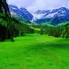 alireza pezeshki 1337 - @alireza.pezeshki8 - TikTok