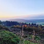 Ali Price - @aliprice279 - Instagram
