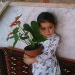 علی ربانی - @ali.rabbani.535 - Instagram