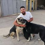 ali_rabbani - @ali_rabbani99 - Instagram