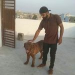 Ali Rabbani - @ali.rabbani.3597 - Instagram