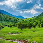 Ali rabbani - @alirabbani_official - Instagram