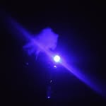 ali ramazani - @ali._._.ramazani - Instagram