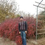 ali ramazani - @ali_ramazani71 - Instagram
