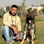 Ali Ramezani - @dogtrainer_ramez - Instagram