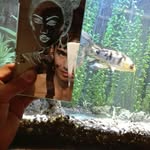 ali ramezani - @ali.ramezani669 - Instagram