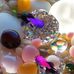 Ali Ramezani - Facebook