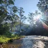 Ali Ramezani - @ali.ramezani1 - TikTok