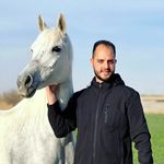 Ali Rostami - @rostami_ali_ - Instagram