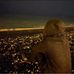 Ali Sadr - Facebook