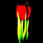 @ali.saeidpour2020 - Instagram